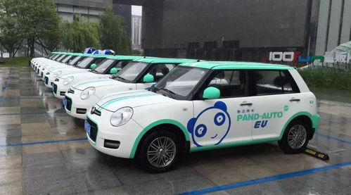 盼达退市，共享出行之痛 小微型客车租赁经营服务的未绽先凋